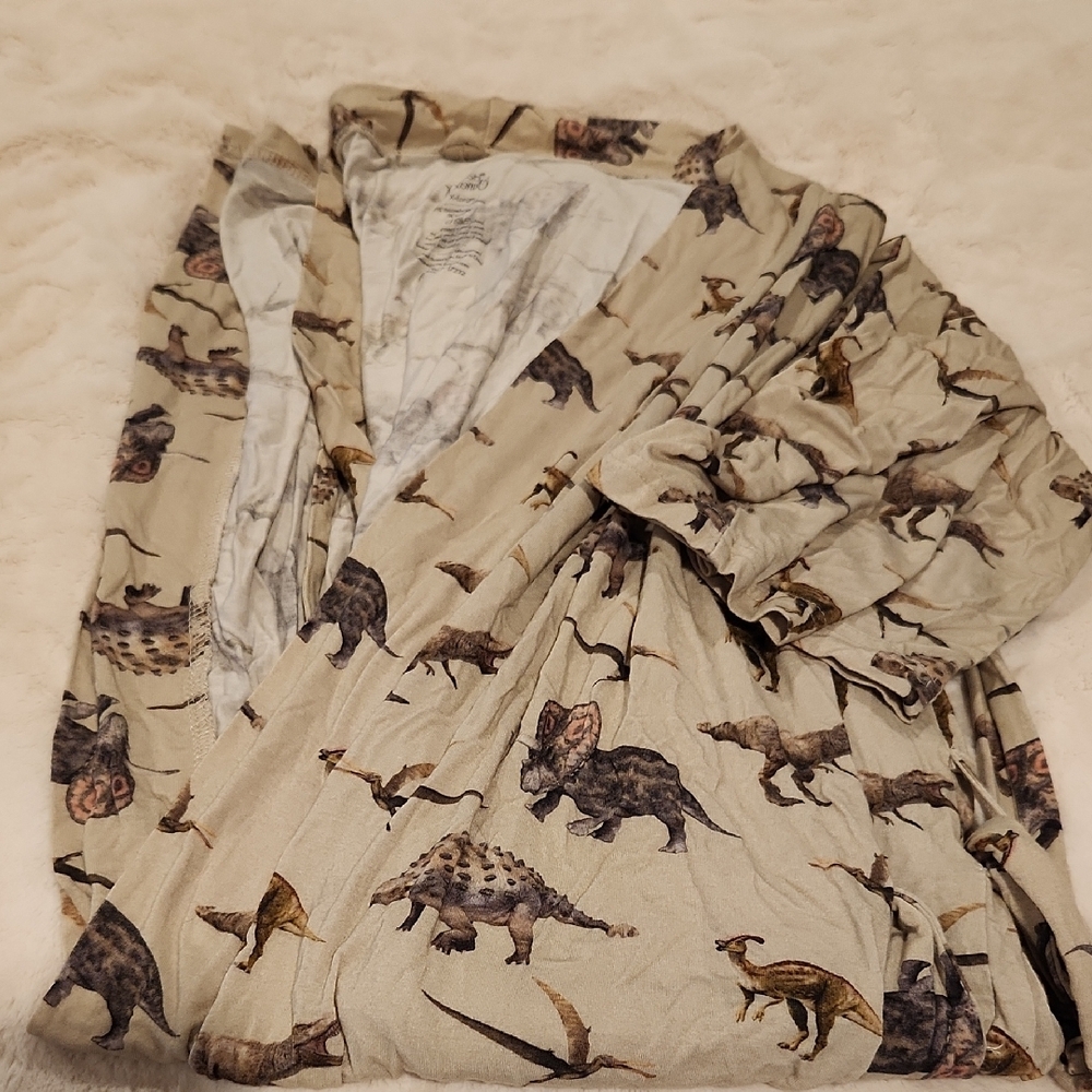 Dinosaur Print Robe